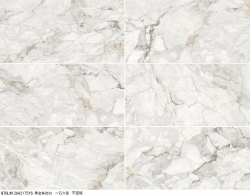 612JD013黄金鱼肚白